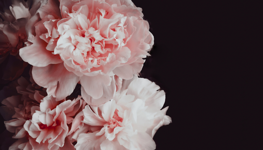 How Does Aromatherapy Help You Release Stress and Improve Focus at Night?