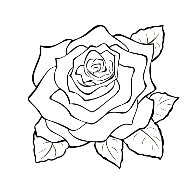 Amour Noir Collection