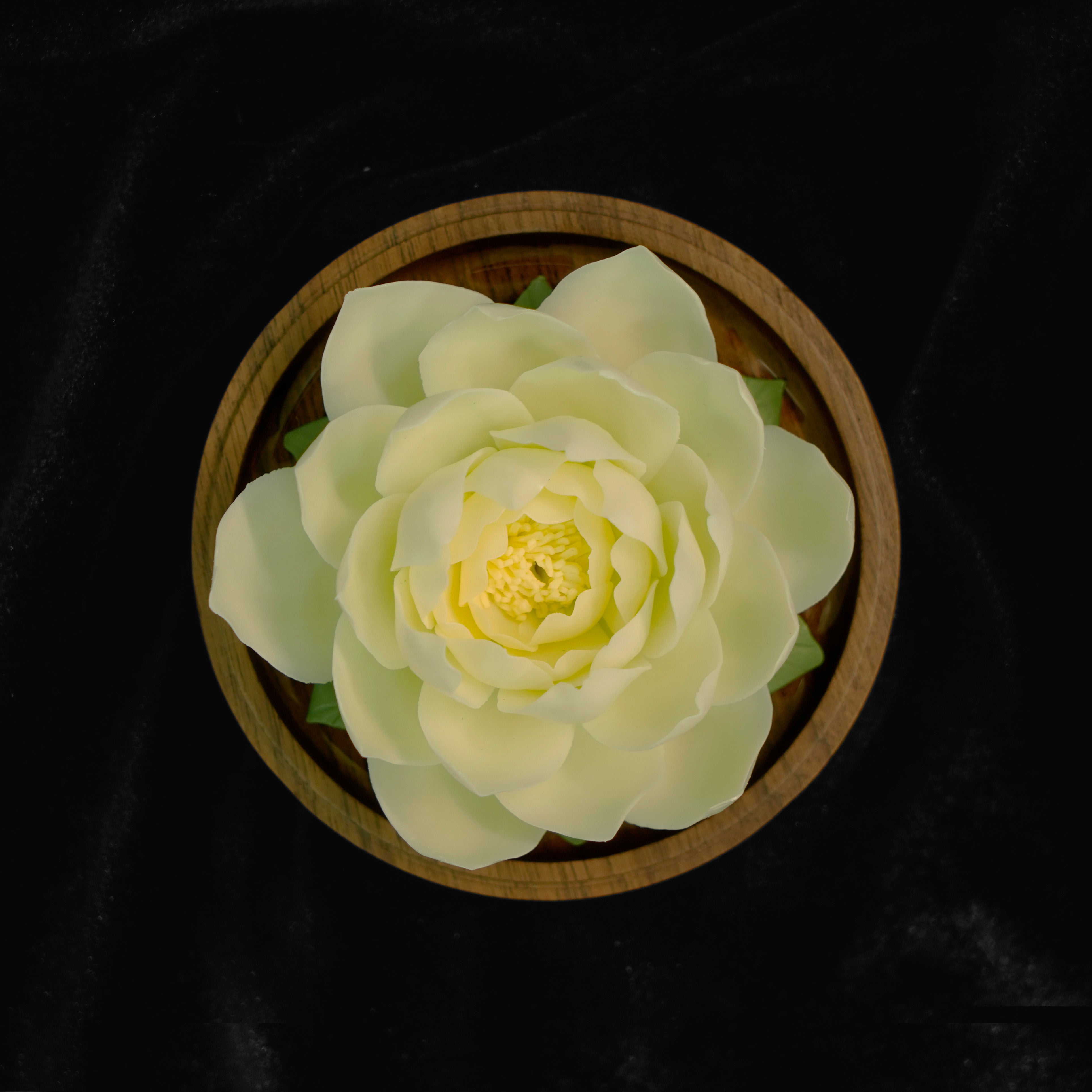 Snow Lotus of the Cloud Peaks – Mudan Noir