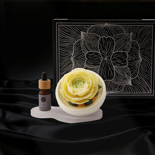 Snow Lotus of the Summit