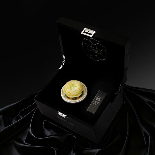 Snow Lotus of the Summit