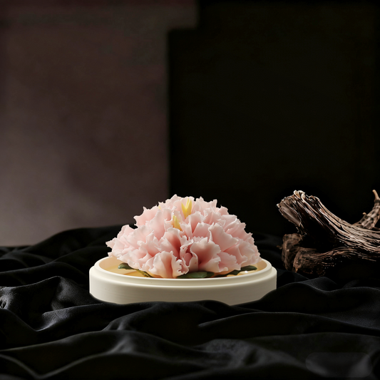 Whisper of Graceful Carnation