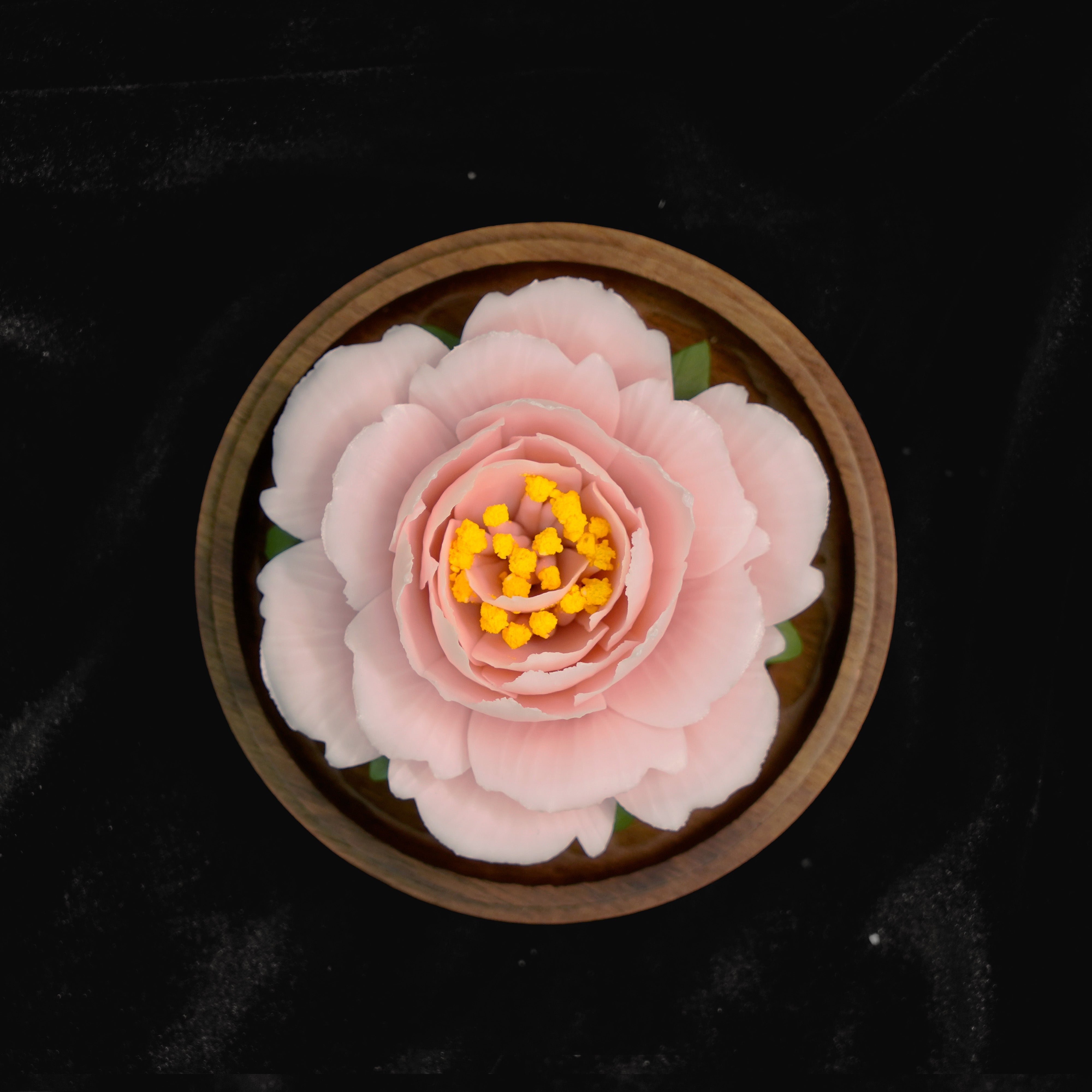 Heavenly Peony – Mudan Noir