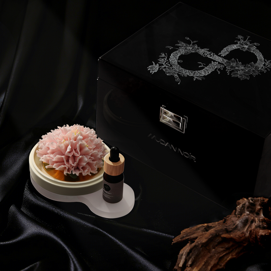 Whisper of Graceful Carnation